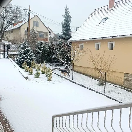 Erika