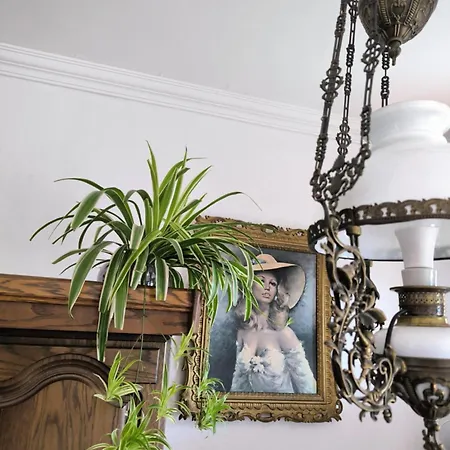 Lejlighed Erika Tihany