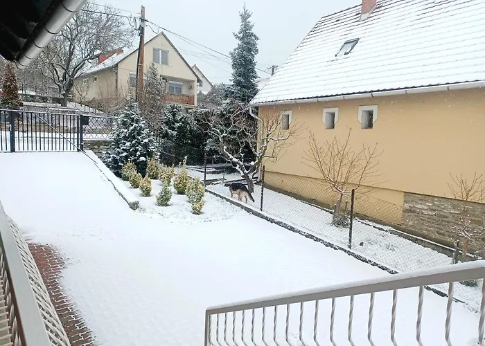 Erika